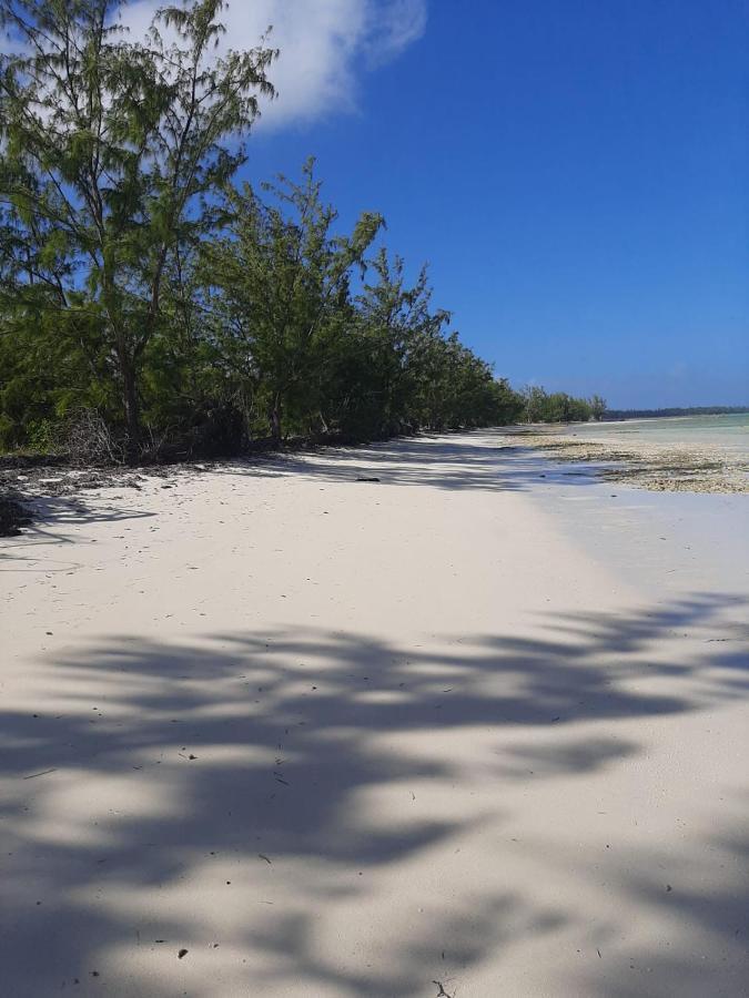 Готель The Cay House Mangrove Cay Екстер'єр фото